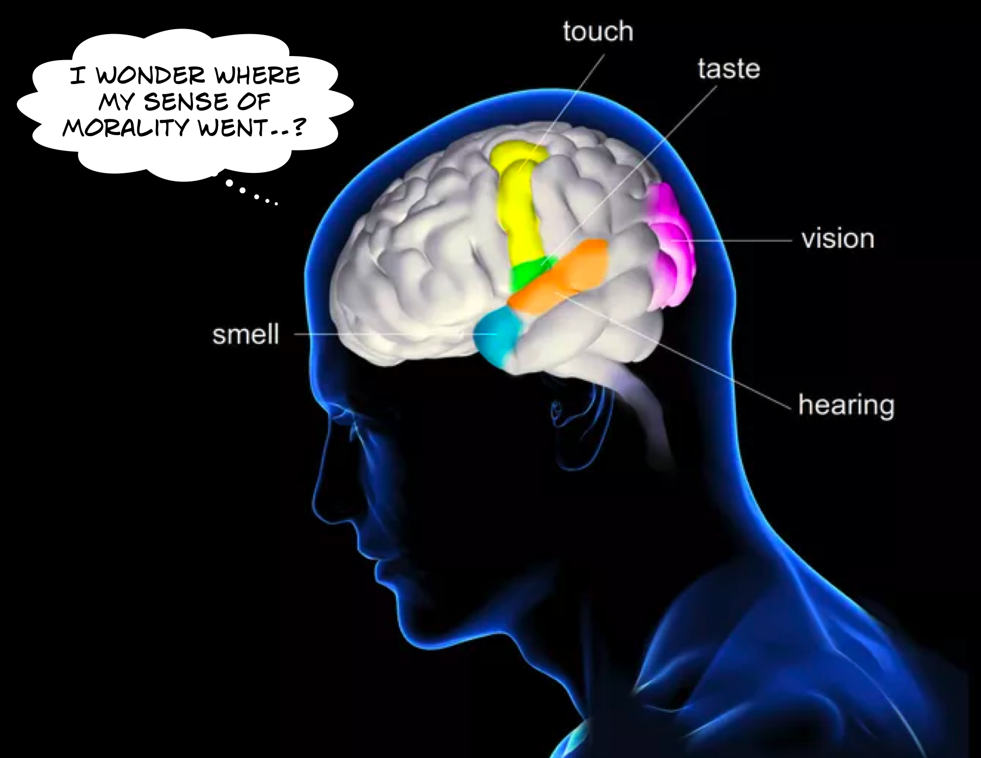 Brain sense. Мозг и органы чувств. Головной мозг органы чувств. Восприятие мозга. Мозг и ощущения.